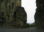 24206 Fern Castle ruins.jpg